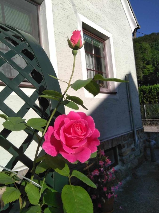 Zu Hause Am Bach Aggsbach Exterior foto